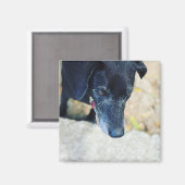 Faites votre propre magnet (Recto/Verso)