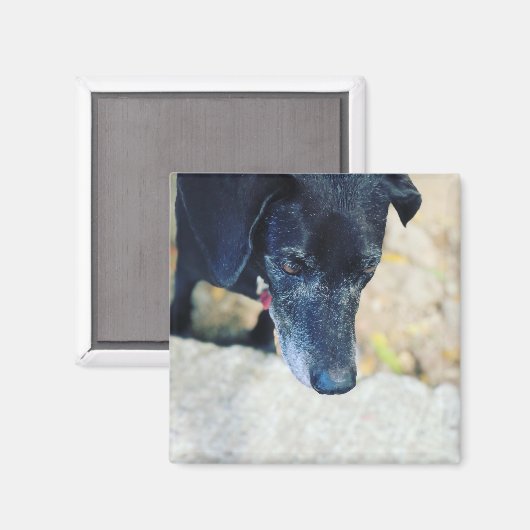 Faites votre propre magnet (Recto/Verso)