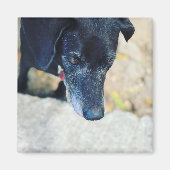 Faites votre propre magnet (Devant)