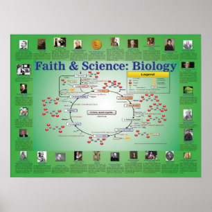Faith and Science: Biologie (Krebs Cycle) Poster