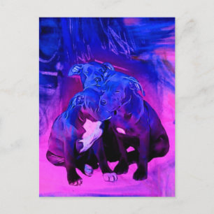 Faith Hope & Charity, Misbruik Pit Bull Dogs Briefkaart