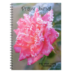 Faith Ice Crystals Roos in Pink Prayer Journal Notitieboek