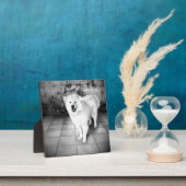 Faithful Love Plaque (Insitu)