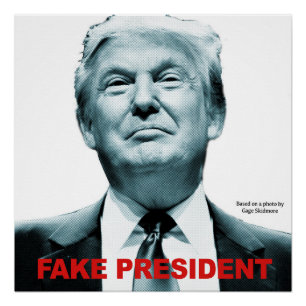 Fake President (Trump) Perfect Poster