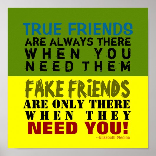 FAKE vs TRUE ~ 12x12 Poster (Devant)