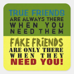 FAKE vs VUE ~ Stickers