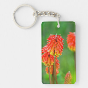 Fakkellelie (Kniphofia Uvaria), Westkaap Sleutelhanger