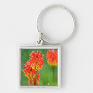 Fakkellelie (Kniphofia Uvaria), Westkaap Sleutelhanger