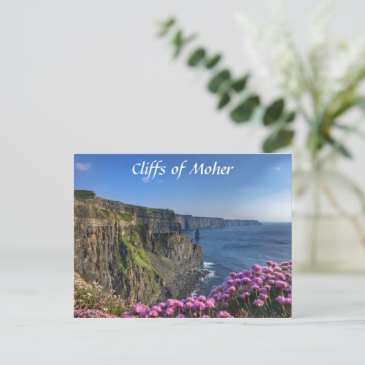 Falaises de Moher, Irlande, Carte postale Fleurs (Debout devant)