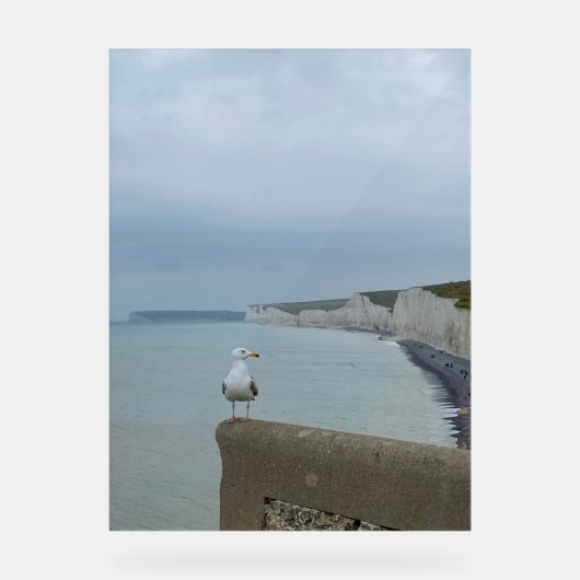 Falaises de Seagul et Seven Sisters, Royaume-Uni (Recto)