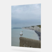 Falaises de Seagul et Seven Sisters, Royaume-Uni (Angle)