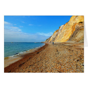 Falaises et plage avec carte Alum Bay
