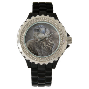 Falco cherrug horloge