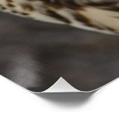 Falco cherrug perfect poster (Hoek)