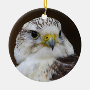Falco cherrug Portrait Keramisch Ornament