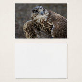 Falco cherrug visitekaartjes (Voorkant /achterkant)