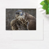 Falco cherrug visitekaartjes (Bureau)