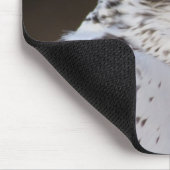 Falco rusticolus muismat (Hoek)