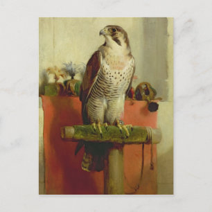 Falcon 1837 briefkaart