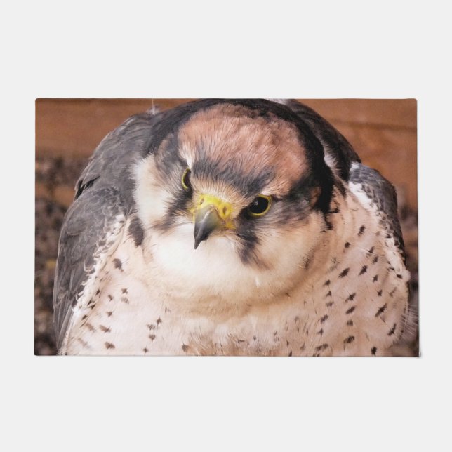 FALCON BIRD VAN PREY DEURMAT (Voorkant)