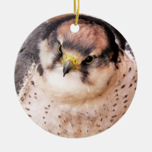 FALCON BIRD VAN PREY KERAMISCH ORNAMENT