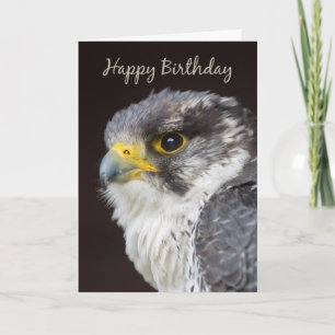 Falcon Birthday Wenskaart - Wild Falcon Bird O Kaart