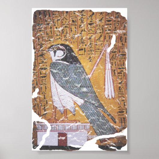 Falcon blk poster (Voorkant)