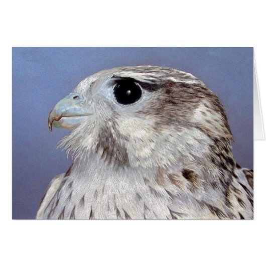 Falcon des Prairies (Devant horizontal)