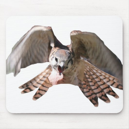 Falcon Mousepad Muismat (Voorkant)
