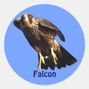 Falcon Raptor Birdlover's Wilde Sticker