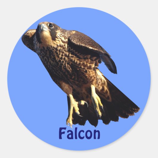 Falcon Raptor Birdlover's Wilde Sticker (Voorkant)