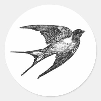 Falcon sticker in witte achtergrond