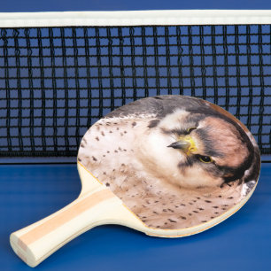 FALCON TAFELTENNISBATJE
