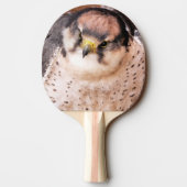 FALCON TAFELTENNISBATJE (Achterkant)