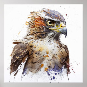 Falcon Vogelportret Dierenschilderij Wildlife Free Poster