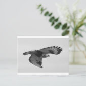 FalconInFlight Briefkaart (Staand voorkant)