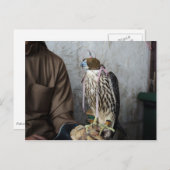 Falconry falcon briefkaart (Voorkant / Achterkant)