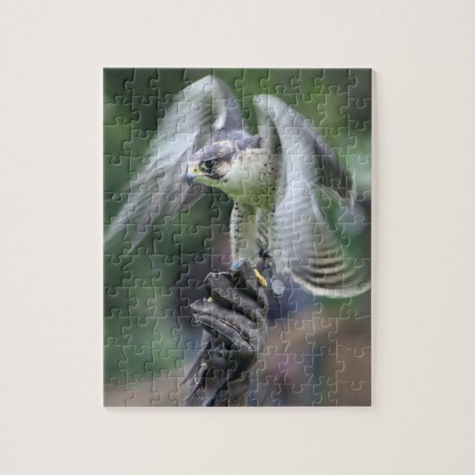 Falconry Legpuzzel (Verticaal)