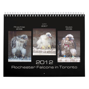 Falcons 2012 de Rochester dans le calendrier de