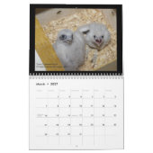 Falcons 2012 de Rochester dans le calendrier de (Mar 2027)