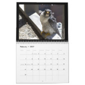 Falcons 2012 de Rochester dans le calendrier de (Feb 2027)
