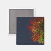 Faling Rainbow Magnet Magneet (Voorkant / Achterkant)