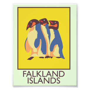 Falklandeilanden Foto Afdruk
