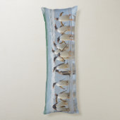 Falklandeilanden. Het eiland Saunders. Gentoo Lichaamskussen (Achterkant (Verticaal))