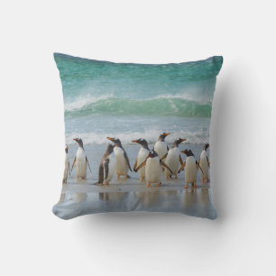 Falklandeilanden. Saunders Island. Gentoo Kussen