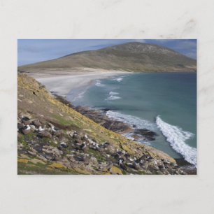 Falklandeilanden, West Falkland, Saunders Briefkaart