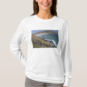Falklandeilanden, West Falkland, Saunders T-shirt