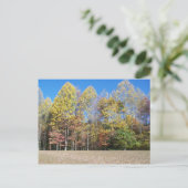 Fall Colors Briefkaart (Staand voorkant)