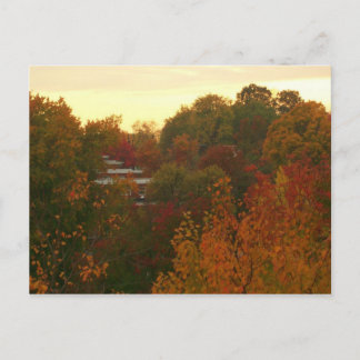 Fall Colors Briefkaart