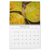 Fall Colors Kalender (Feb 2026)